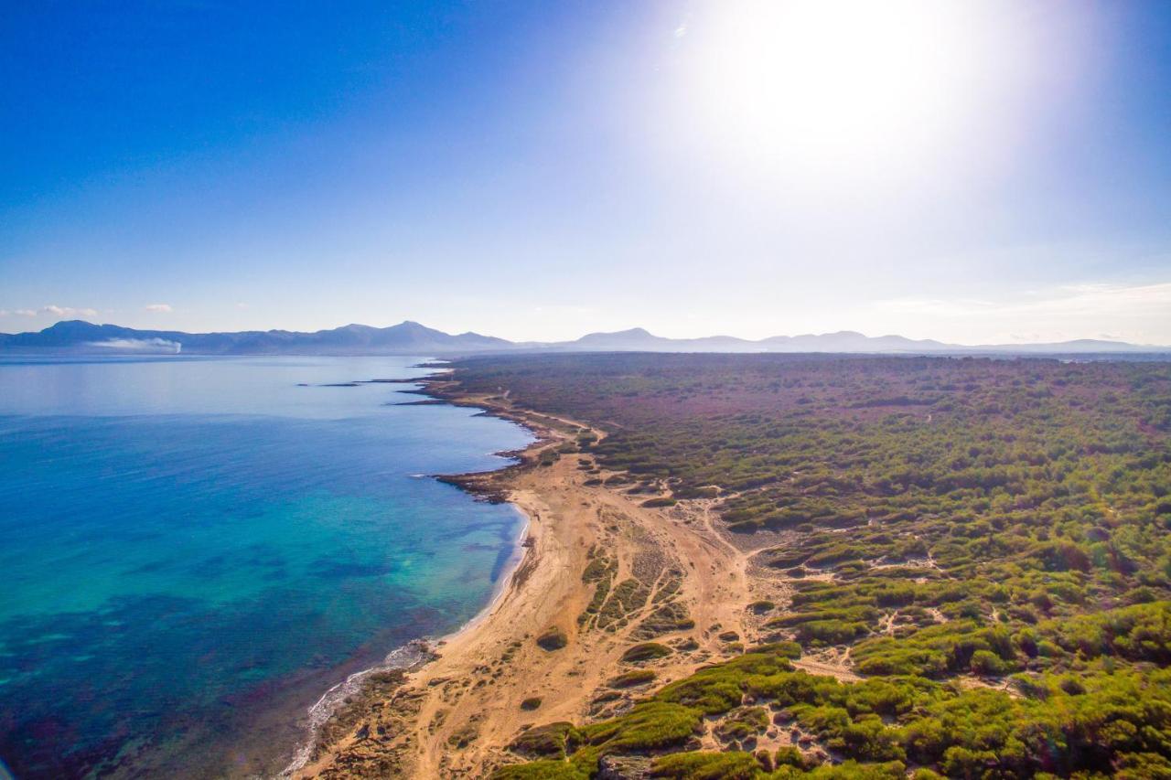 Ideal Property Mallorca - Es Puput Petra  Ngoại thất bức ảnh